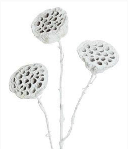 37in Frosted Lotus Pod x3 SILVER