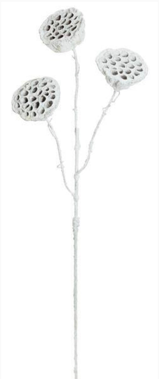 37in Frosted Lotus Pod x3 SILVER