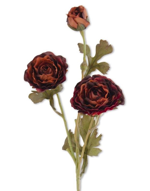 20in Ranunculus Spray BURG