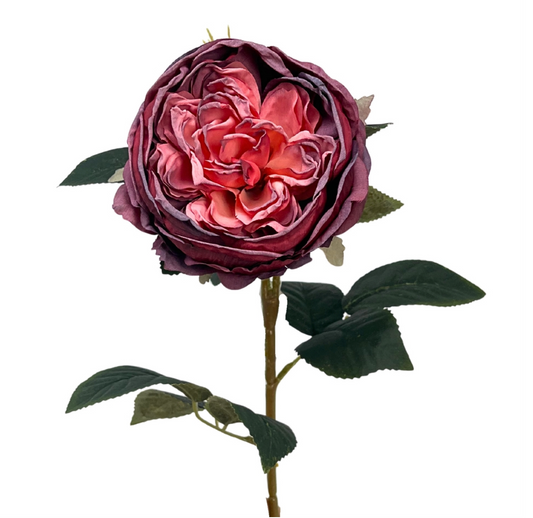 24in Faux Dried Red English Rose - Premium Florals for Wreaths, Arrangements and Home Decor (Copy)