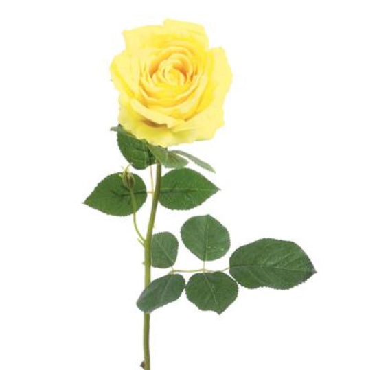 32in BLOOMING Tea Rose YELLOW