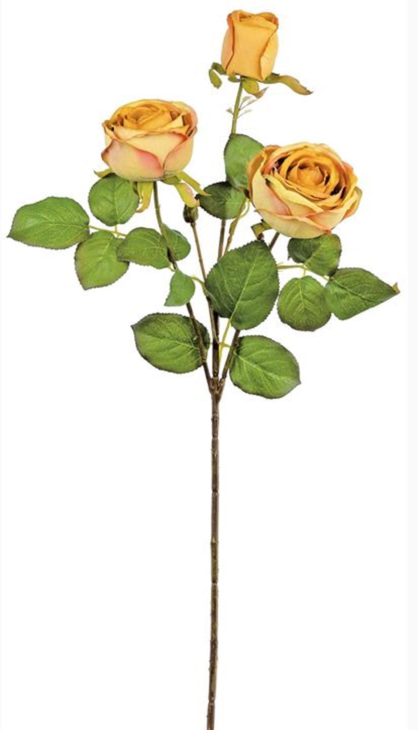 24in Dried Cabbage Rose & Bud YEGO Select Artificial