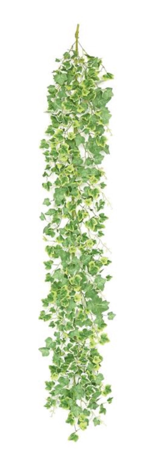 5FT Cottage Ivy Garland