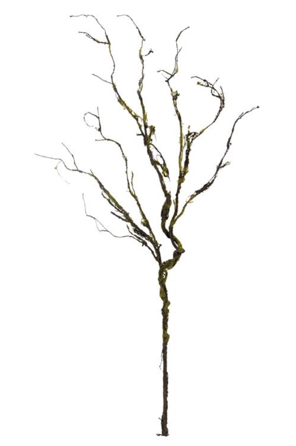 41in Twig Branch w/Moss