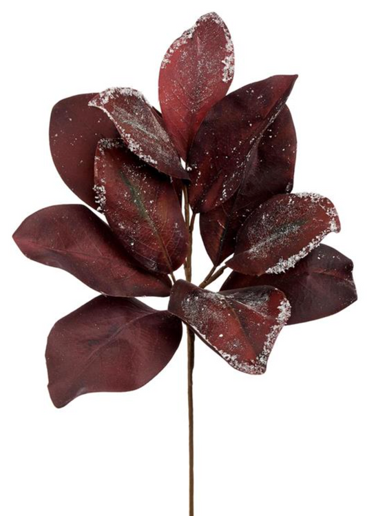 18in Snowed Burgundy Magnolia Leaves - Premium Greenery for Wreaths, Arrangements and Home Decor Select Artificial