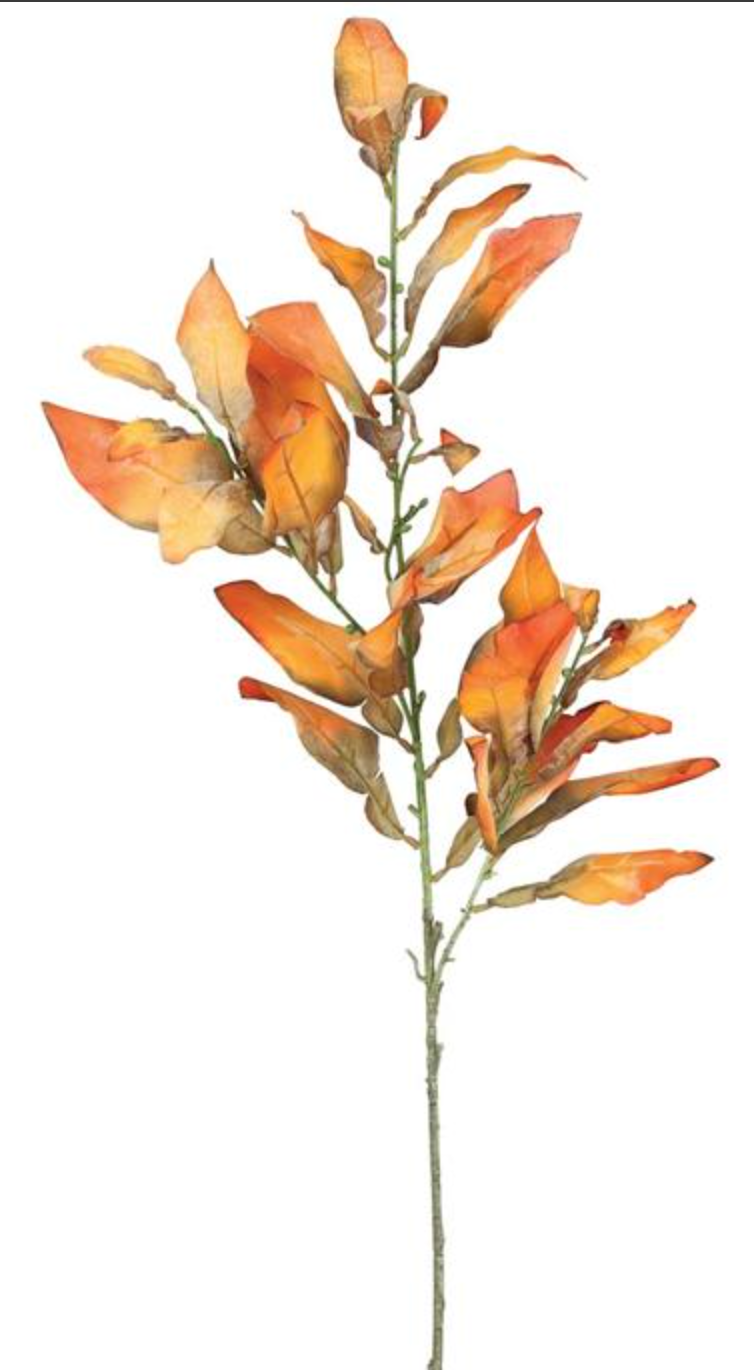 39in Orange Pomelo Leaves - Premium Greenery for Wreaths, Arrangements and Home Decor Select Artificial