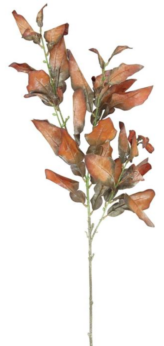 39in Rust Pomelo Leaves - Premium Greenery for Wreaths, Arrangements and Home Decor Select Artificial