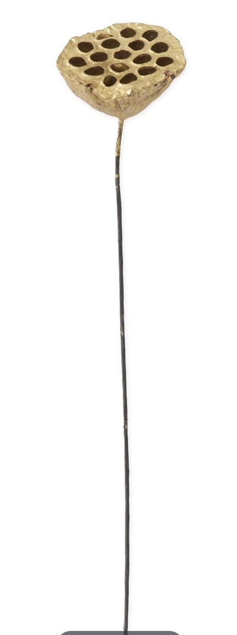 21in GOLD Lotus Seedpod