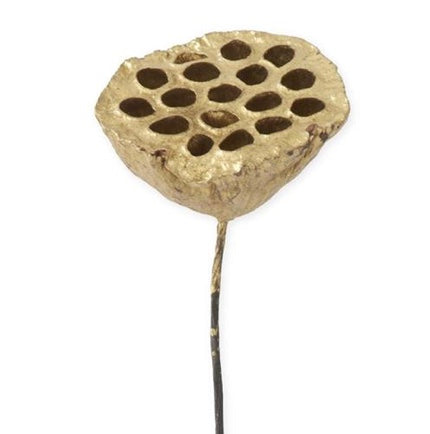 21in GOLD Lotus Seedpod