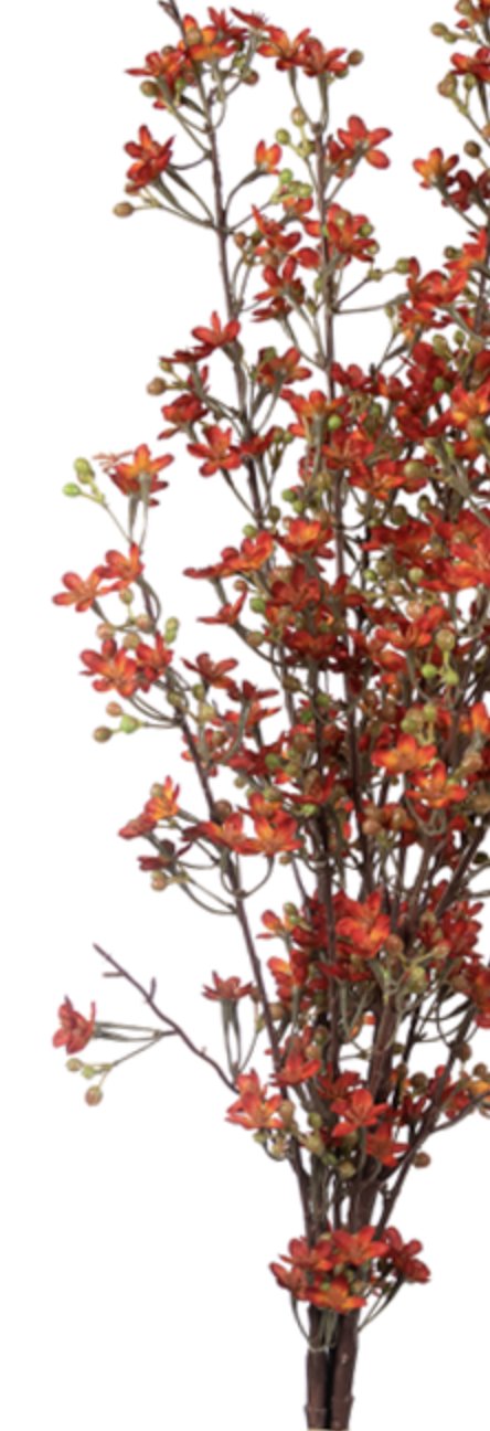34in Premium Burnt Orange Waxflower - Premium Floral for Wreaths, Arrangements and Home Decor CRI