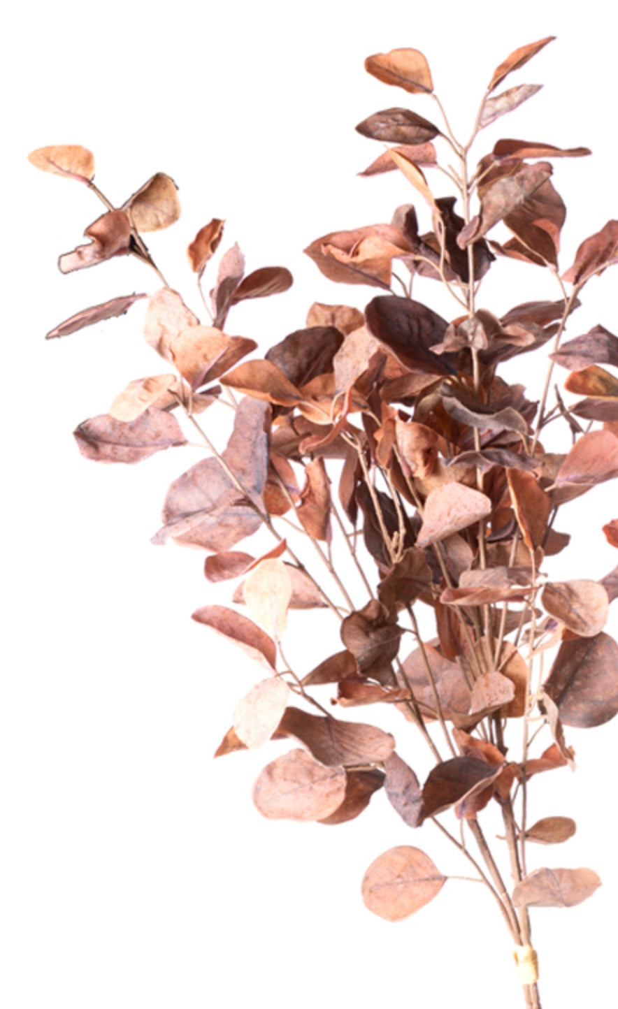 27in Eucalyptus Bundle DARK FALL MIX