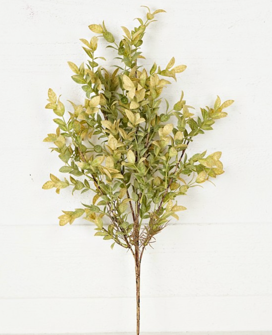 25in Two-Tone Green Mini English Rose Leaf  - Premium Greenery for Wreaths, Arrangements and Home Decor Impressive