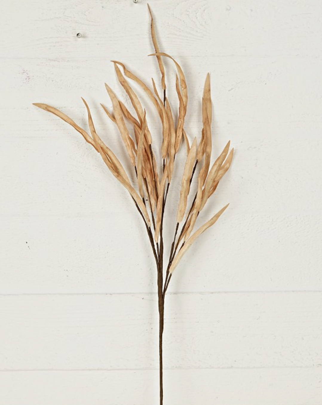27in Beige Leaf Grass  - Premium Greenery for Wreaths, Arrangements and Home Decor Impressive