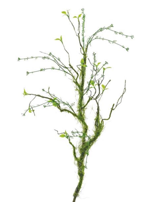 39in Budding Moss Branch