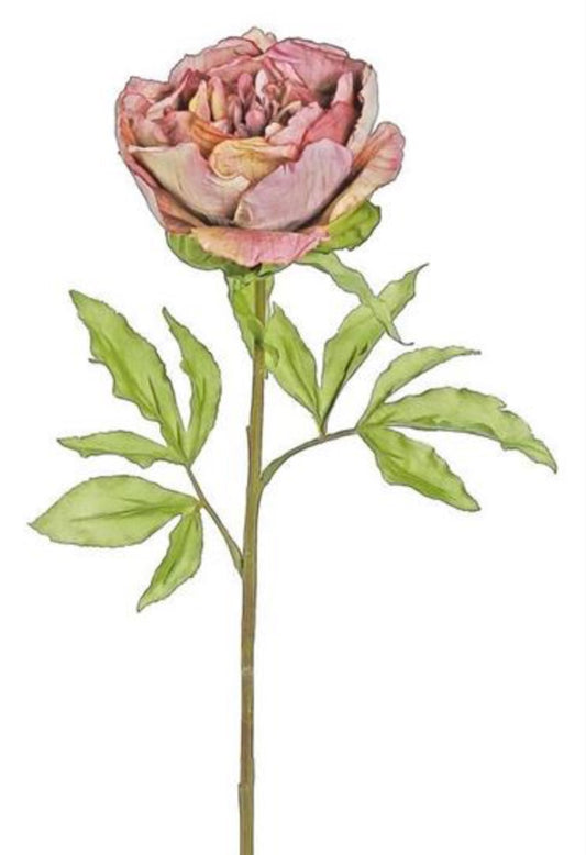 26in Vintage Peony MAUVE