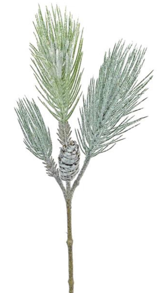 23in Frosted Pine w/Cones