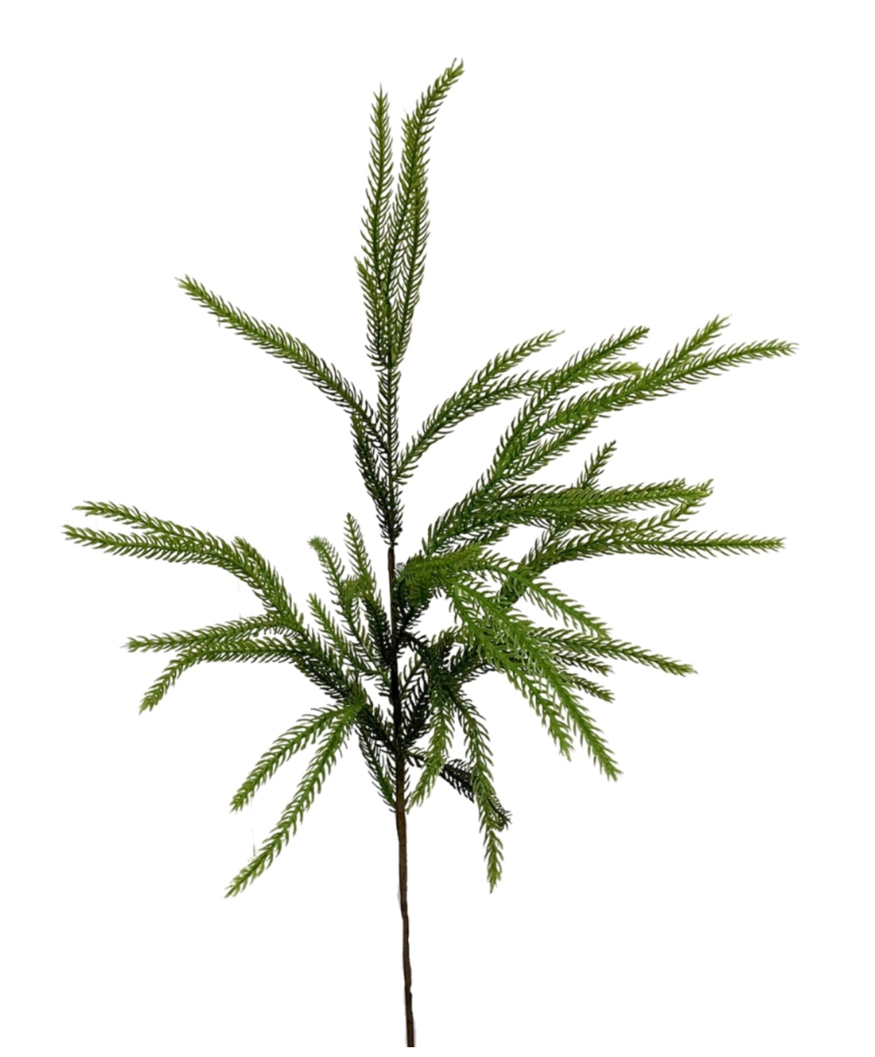 28in Fresh Touch Norfolk Pine
