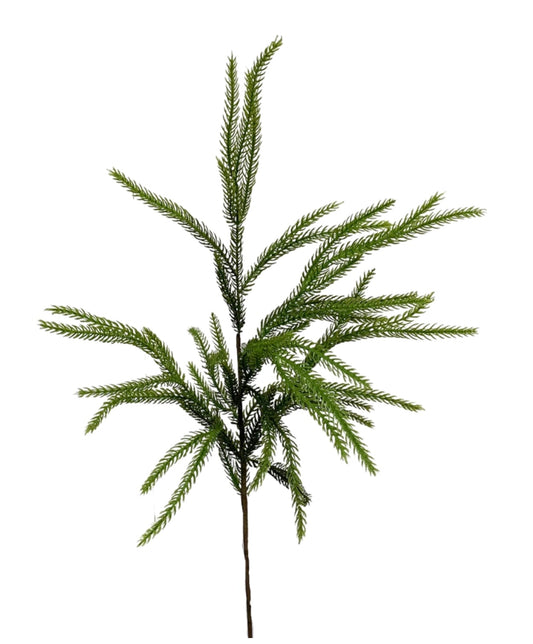 28in Fresh Touch Norfolk Pine