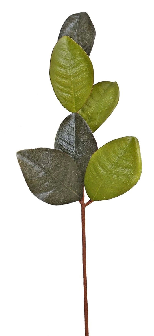 20in Elegant Magnolia Leaves