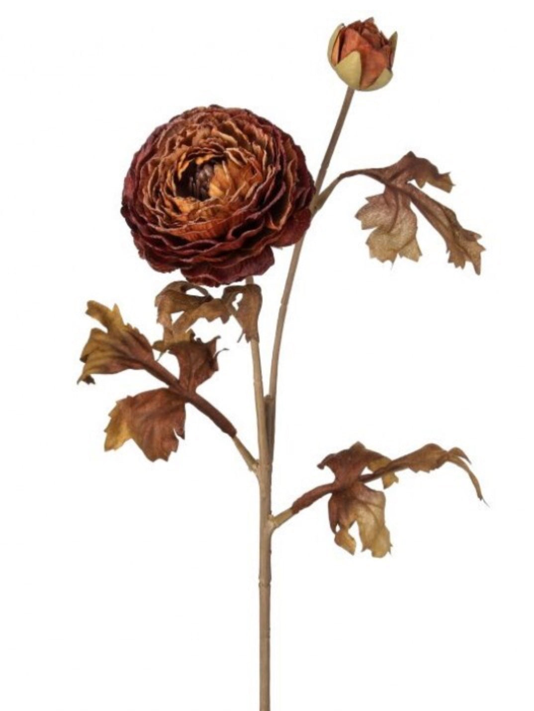 24in Cinnamon Autumn Ranunculus - Premium Florals for Wreaths, Arrangements and Home Decor Regency