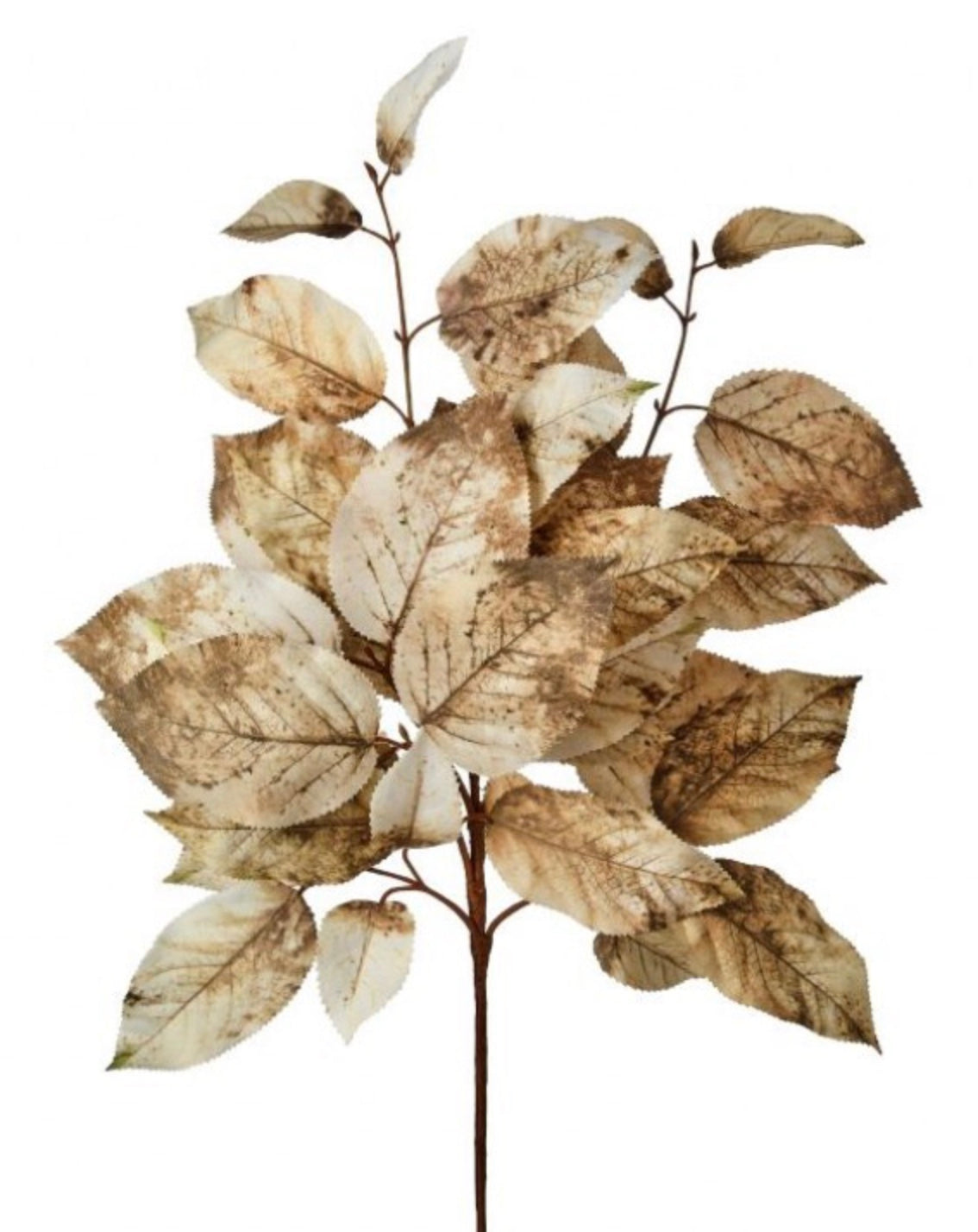 20in Autumn Salal Leaf CREAMBROWN