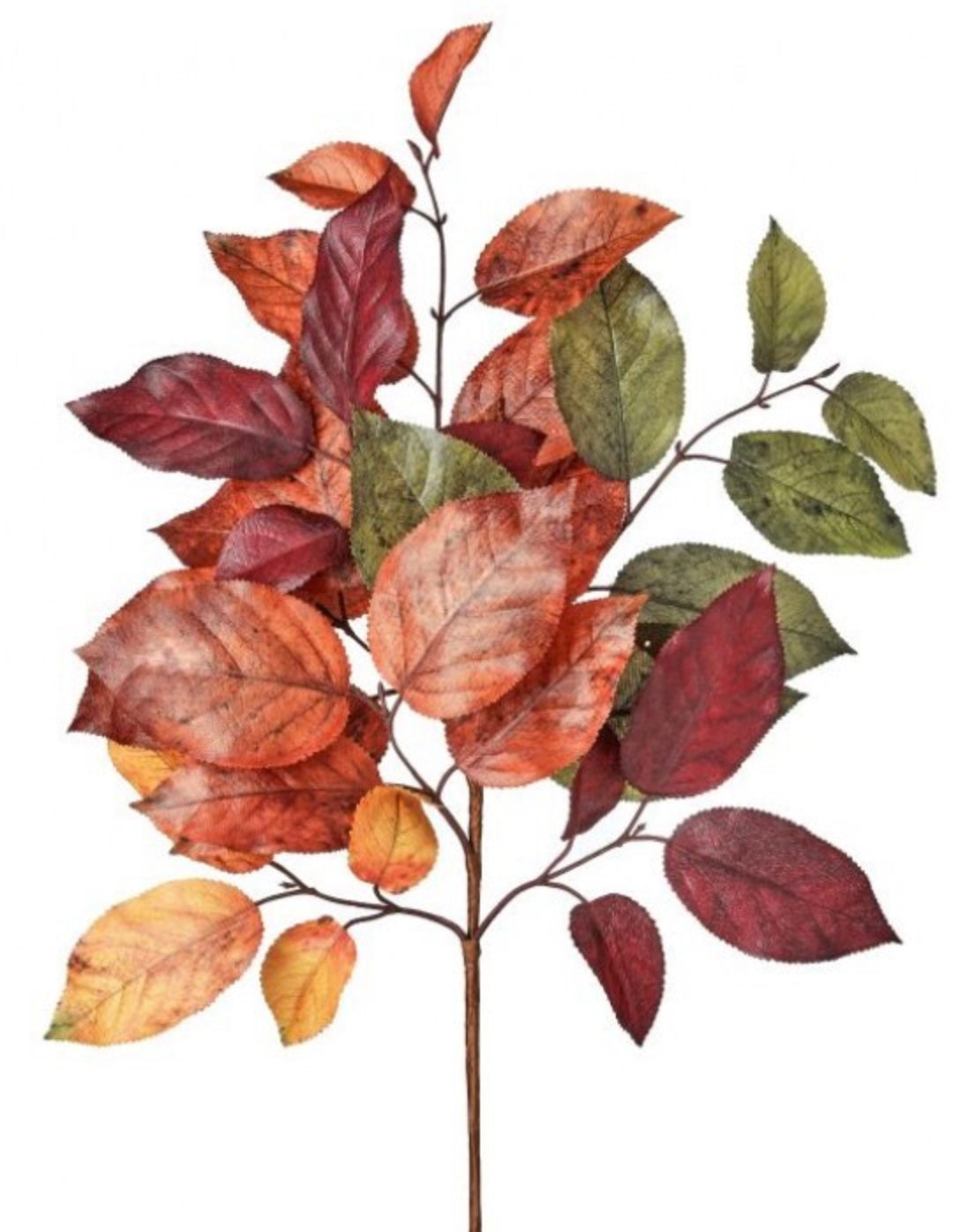 20in Autumn Salal Leaf HARVEST MIX