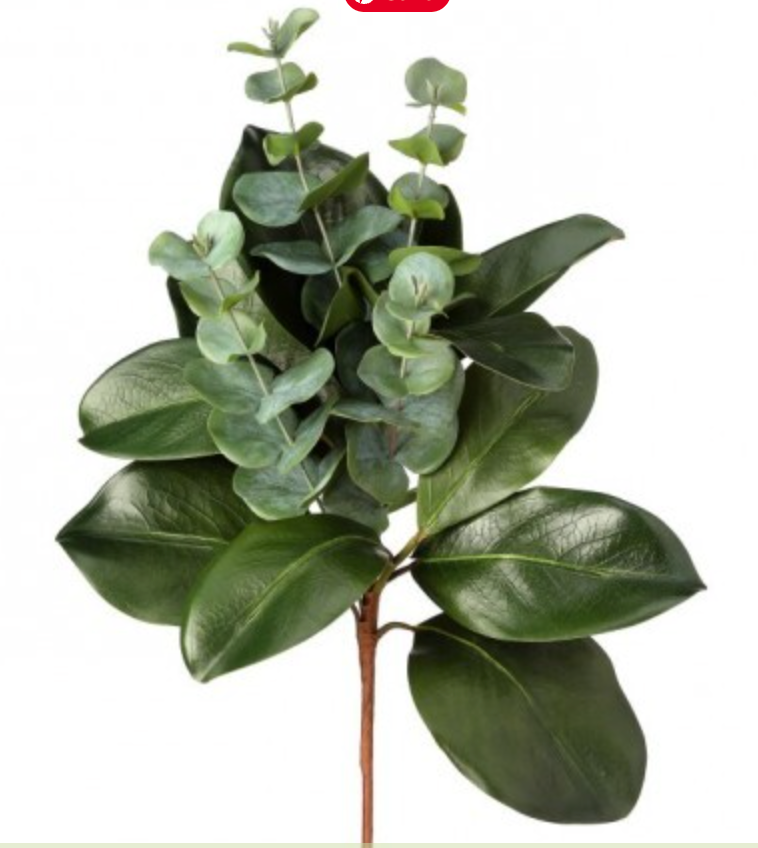 20in Magnolia & Eucalyptus Spray - Premium Greenery for Wreaths, Arrangements and Home Decor Regency