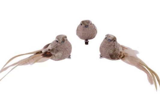 3pc SET 6.25in x 1.75in Long Tail Bird BROWN
