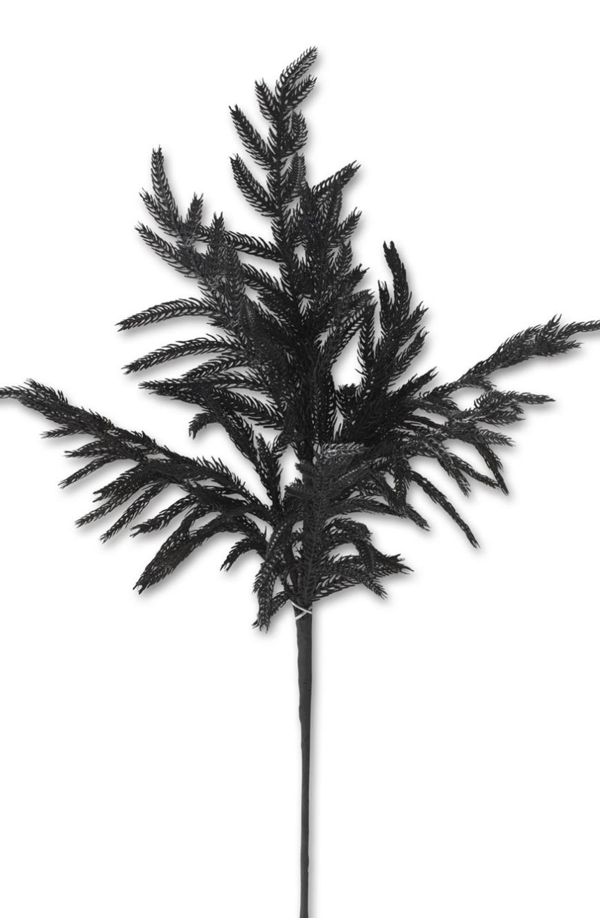 24in Real Touch Black Norfolk Pine - Premium Greenery for Wreaths, Arrangements and Home Decor K&K