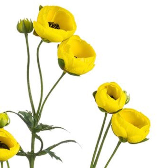 25in Mini Ranunculus Spray YELLOW