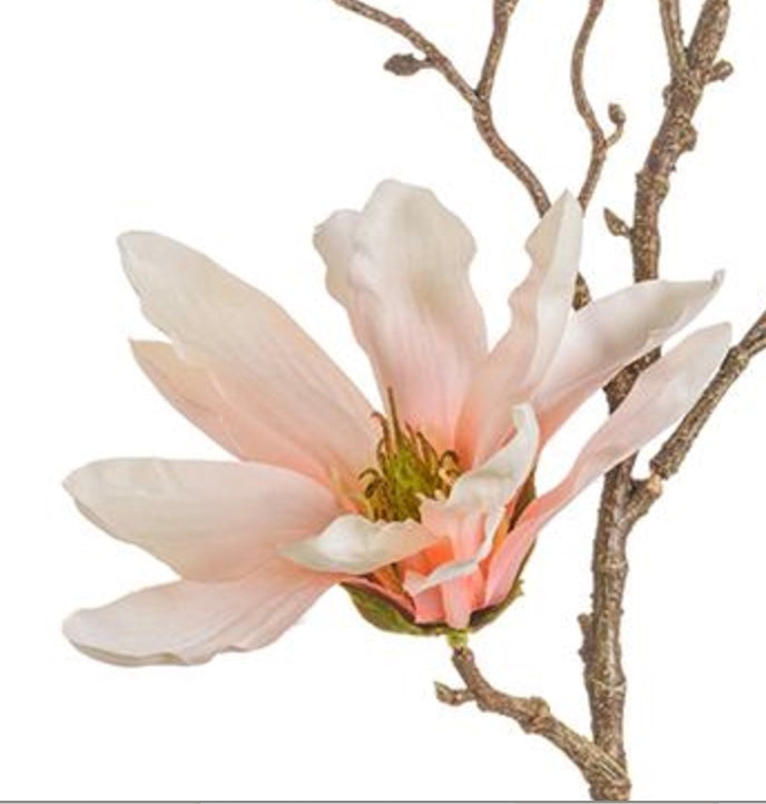 19in Star Magnolia Bloom & Buds