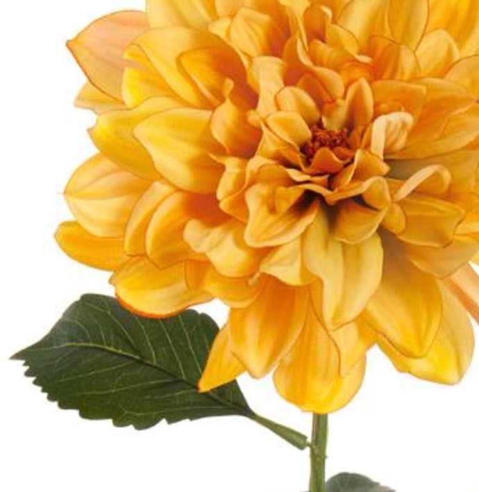 27in Dahlia Bloom YELLOW