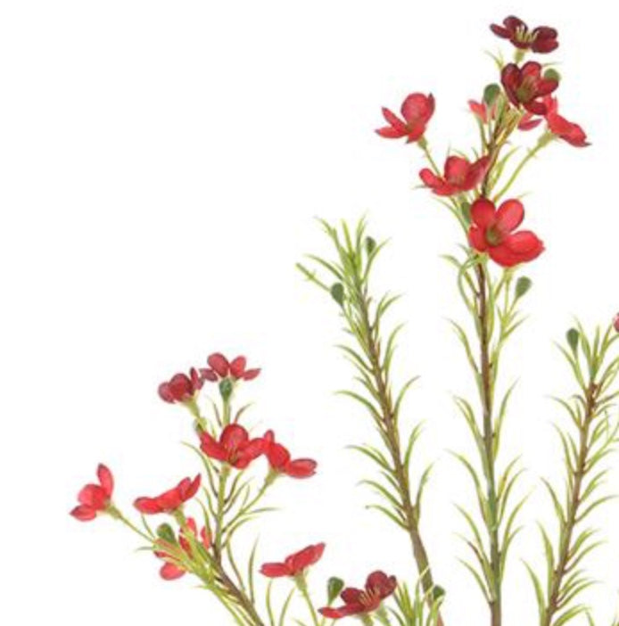 24in Waxflower RED