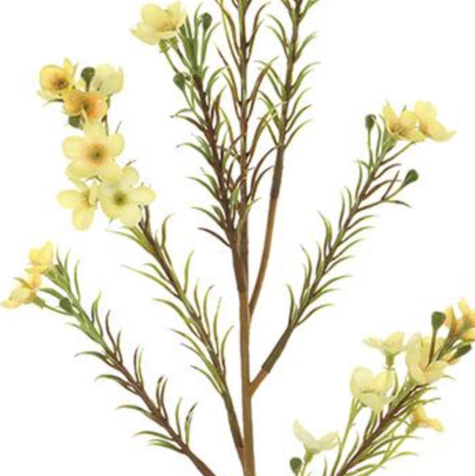 24in Waxflower YELLOW