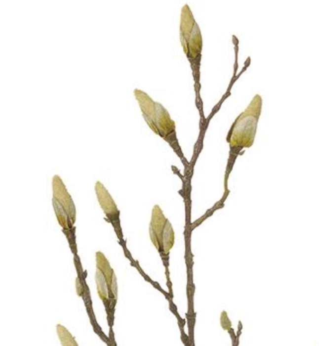 35in Magnolia Buds Branch