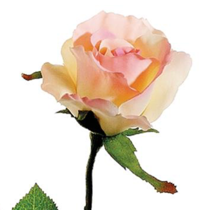 26in Half Open Pink Rose - Premium Floral for Wreath and Arrangement