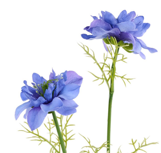 27in Lavender Cosmos x3