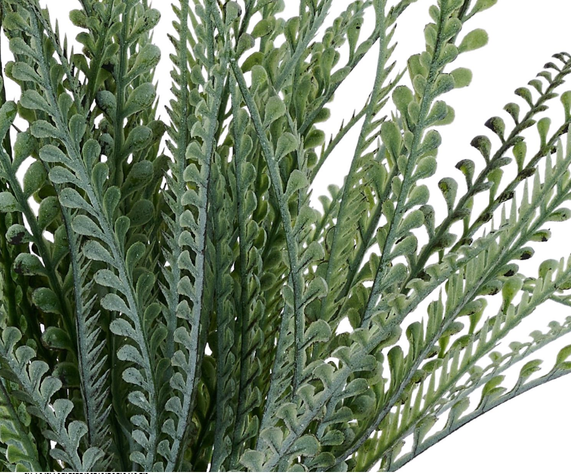 19in Green Whitewash Button Fern x7