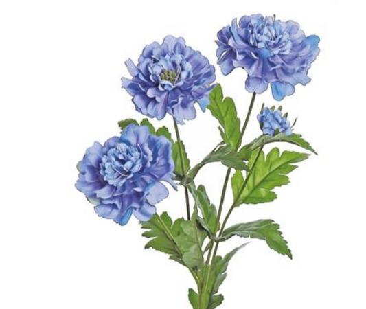 24in Dark Blue Scabiosa x3 w/Bud
