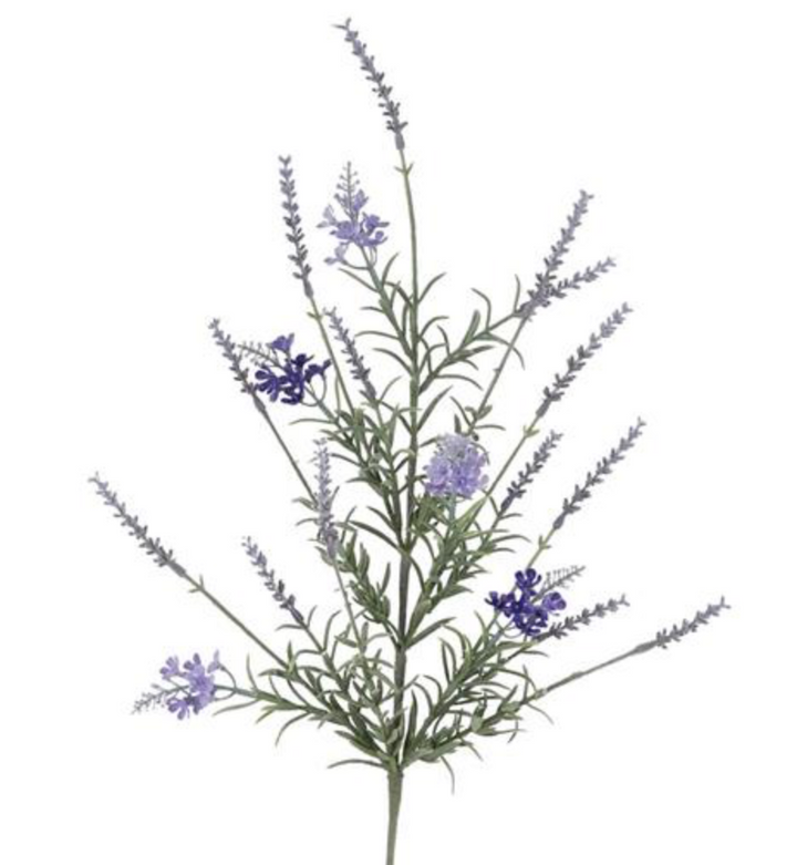 24in Lavender Spray