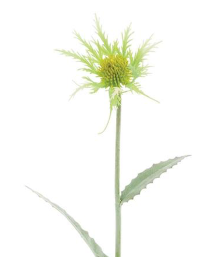 19in Green Thistle