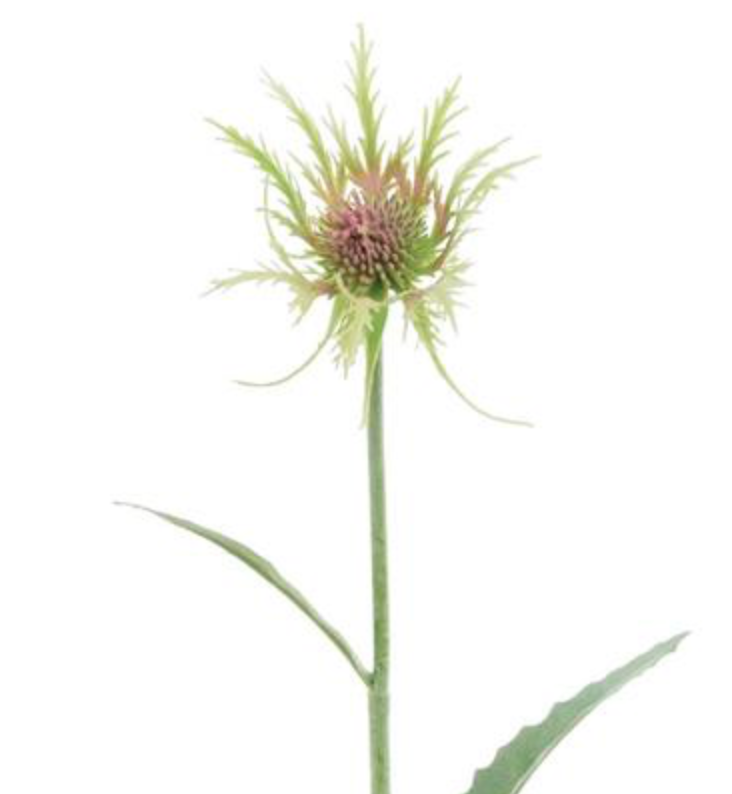 19in Red/Green Thistle