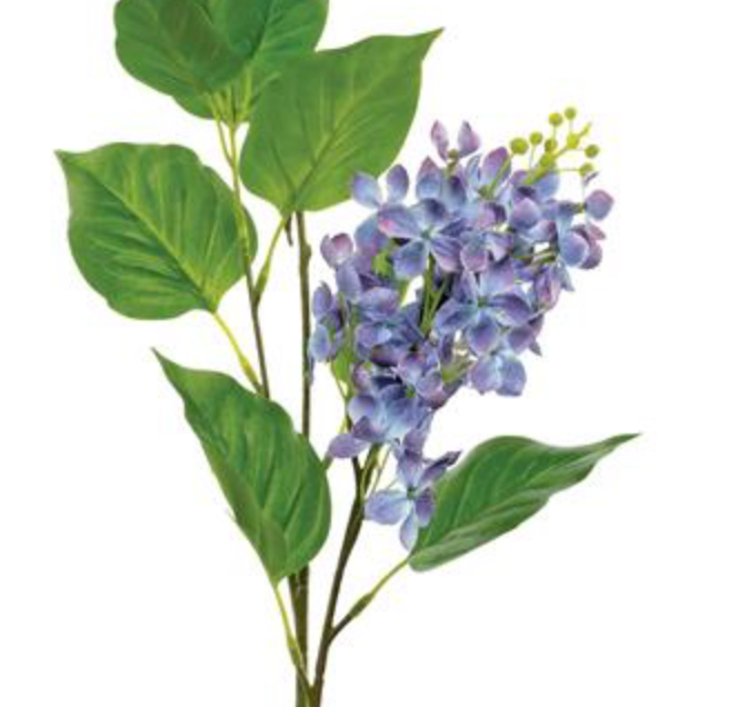30in Blue/Pink French Lilac