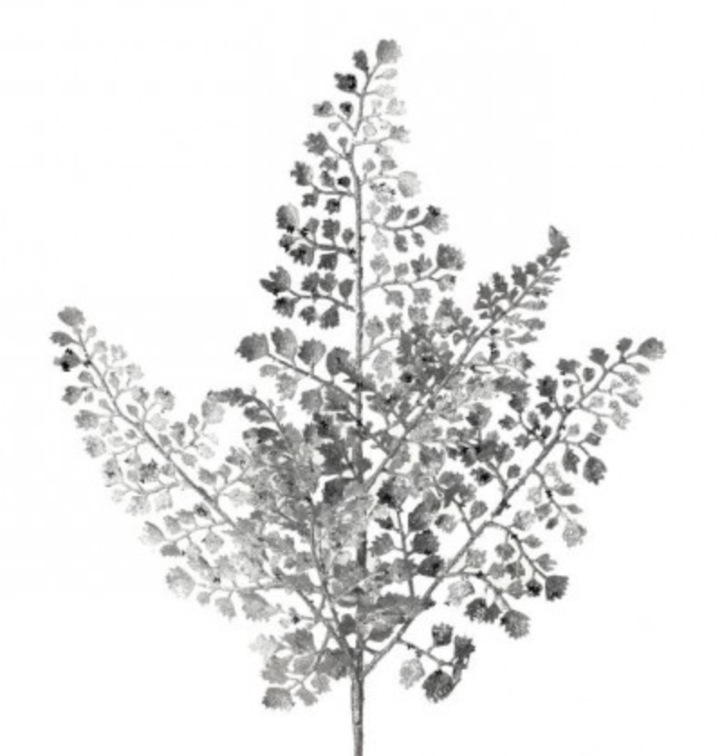 18in Glitter Maidenhair Fern SILVER Regency