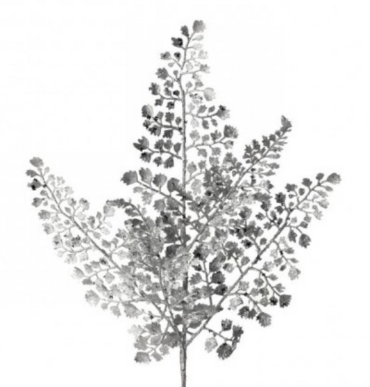 18in Glitter Maidenhair Fern SILVER Regency