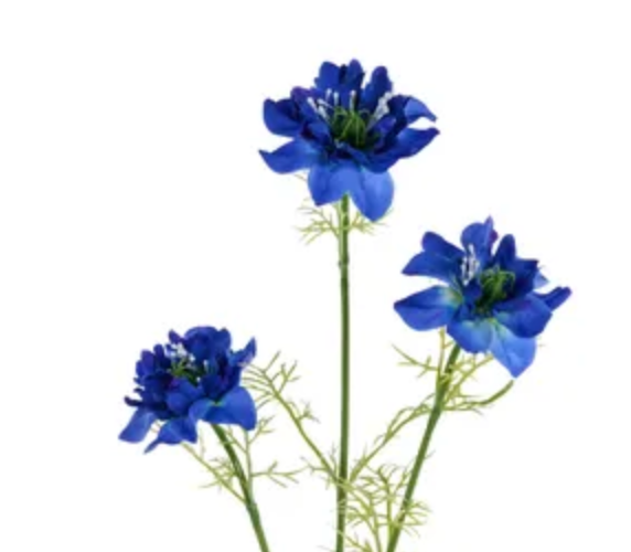 27in Cosmos Spray x3 BLUE