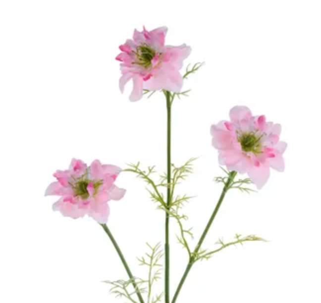 27in Cosmos Spray x3 PINK