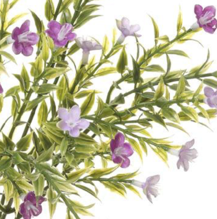 14in Waxflower Bush x7 LAVENDER - Premium Florals for Wreaths and Home Decor