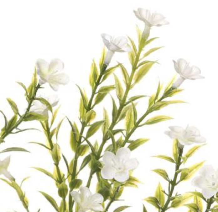 14in Waxflower Bush x7 WHITE - Premium Florals for Wreaths and Home Decor