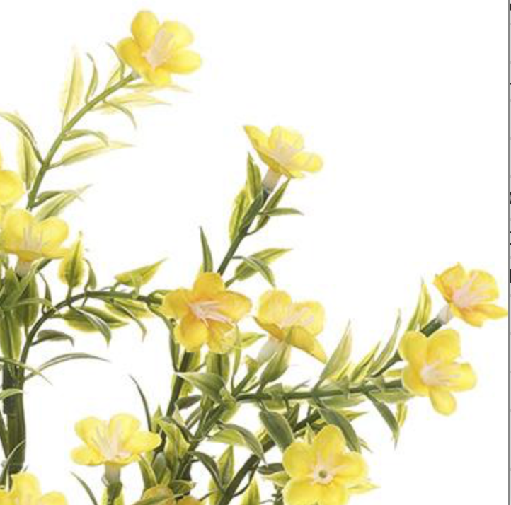 14in Waxflower Bush x7 YELLOW